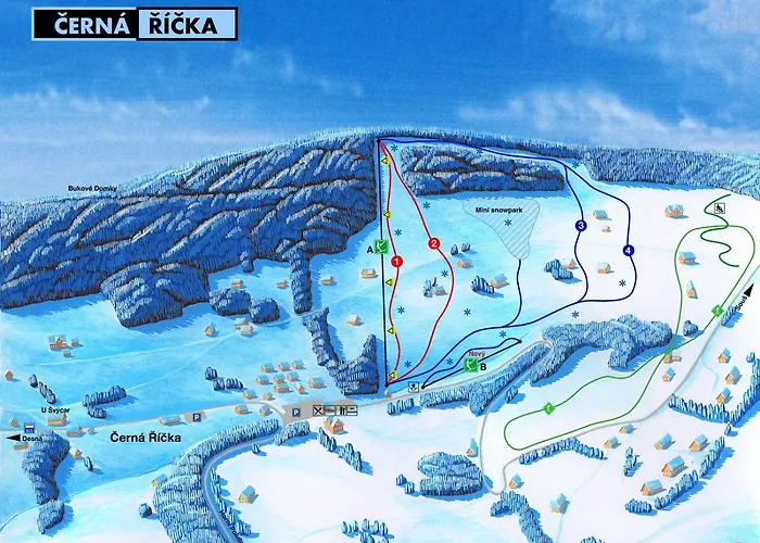 Cerna Ricka *